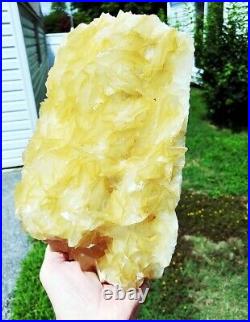 11.0 10 Lbs. 6 oz. Rare Yellow Angel Wing-type CALCITE on Black Sphalerite