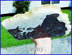 11.0 10 Lbs. 6 oz. Rare Yellow Angel Wing-type CALCITE on Black Sphalerite