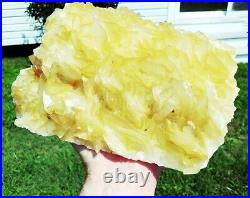 11.0 10 Lbs. 6 oz. Rare Yellow Angel Wing-type CALCITE on Black Sphalerite