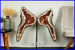 AAA Citrine Geode Angel Wings, 50 Kg 110Lb X-Large Butterfly Geode, Deep Orange