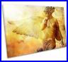 Angel_Fantasy_Fairy_Wings_CANVAS_WALL_ART_DECO_LARGE_READY_TO_HANG_all_sizes_01_bz