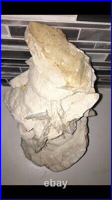 Angel Wing Calcite Mineral Extremely Large Sculpture Specimen Over 10 Pounds