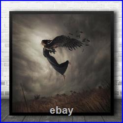 Angel Wing Wings Feather Feathers Fly Flying Flight Field Grass Wall Art Print