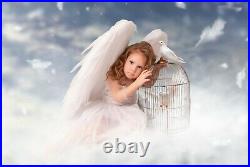 Angel Wings Fancy Dress up Fairy Costume Outfit Large Kids Party Decors osplay