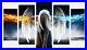 Angel_Wings_Fire_And_Ice_Women_Fantasy_5_Split_Panel_Canvas_Pictures_28x40_01_xyi