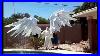 Articulated_Angel_Wings_For_Angels_In_America_01_kars