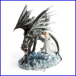 BLACK DRAGON with Wizard Adult Feather Large Wings Angel Halloween Costume