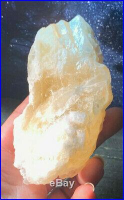 Beautiful Rare Large Angel Wing Calcite Natural Crystal Enhances Meditation