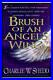 Brush_of_Angels_Wing_Paperback_By_Shedd_Charlie_W_GOOD_01_qbs