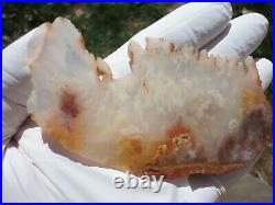 Carey Plume Agate Angelwing Polished Slab Large And A Beauty