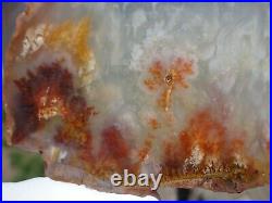 Carey Plume Agate Angelwing Polished Slab Large And A Beauty