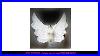 Cosplay_Props_White_Large_Butterfly_Style_Feather_Angel_Wing_Wedding_Bar_Decorations_Photography_01_fp
