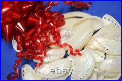 DIY Upscale Angel Wings Seashell Ornaments Projects, Mule Ears Shells, SS-23