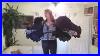 Eight_Foot_Wide_Black_Articulated_Costume_Angel_Wings_01_fs