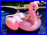 Extra_Large_Inflatable_Float_Flamingo_Float_Swan_Swimming_Pool_Raft_Lounge_01_wxy
