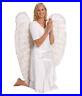 Extra_Large_White_And_Black_Feather_Angel_Wings_01_rjwi