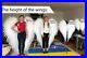 Extra_large_white_wings_angel_cosplay_costume_adult_Halloween_photo_shoot_prop_01_xj