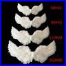 FEATHER_ANGEL_WINGS_ADULT_FAIRY_FANCY_DRESS_COSTUME_ACCESSORY_LARGE_Lot_New_01_rugd