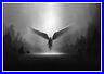 Fantasy_Angel_Wings_Warrior_Black_And_White_Art_Large_Poster_Canvas_Pictures_01_rsac