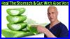 Heal_The_Stomach_U0026_Gut_With_Aloe_Vera_Dr_Mandell_01_ct