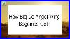 How_Big_Do_Angel_Wing_Begonias_Get_01_jn
