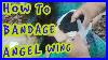 How_To_Treat_Angel_Wing_In_Ducks_And_Geese_What_Is_It_What_Causes_It_01_jyz