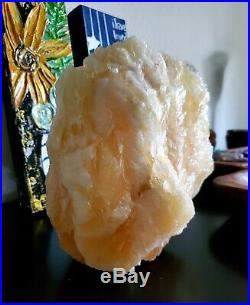 Large Angel Wing Calcite Crystal Specimen (16 lb 4 oz) Durango, Mexico