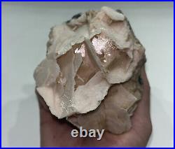 Large Angel Wing Calcite Crystal- Ultra Rare White Rough UV Reactive Specimen