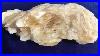 Large_Angel_Wing_Calcite_For_Sale_01_fbh