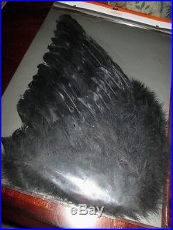 Large BLACK FEATHER Costume WINGS Angel NEW Bird FAIRY Accessory NYMPH BAT