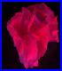 Large_Beautiful_Fluorescence_In_An_Angel_Wing_Calcite_01_ms