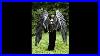 Large_Bendable_Black_Angel_Wings_For_Photoshoots_And_Cosplay_01_hu