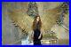 Large_Golden_Heaven_Angel_Syrin_wearable_wings_Cosplay_Costume_adult_festival_01_go