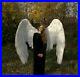 Large_White_Heaven_Angel_wings_Cosplay_Costume_giant_Wedding_sexy_photo_props_01_yhwa