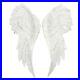 Pair_Of_Large_Glitter_Angel_Wings_01_vtj
