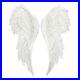 Pair_of_Large_Glitter_Angel_Wings_01_gqc
