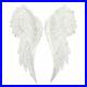 Something_Different_Pair_of_Large_Glitter_Angel_Wings_01_cf