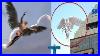 Top_10_Angels_Caught_On_Camera_Flying_U0026_Spotted_In_Real_Life_01_wc