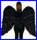 Touch_of_Nature_Black_Adult_Angel_Wings_52_by_36_Halo_Included_Black_01_cp