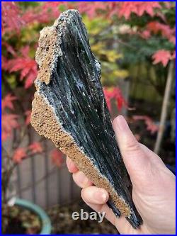 Vivianite Large Crystal Specimen Like Angel Wing 458g 2