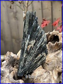 Vivianite Large Crystal Specimen Like Angel Wing 460g