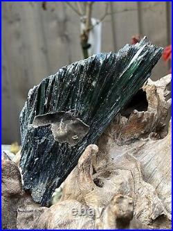 Vivianite Large Crystal Specimen Like Angel Wing 460g