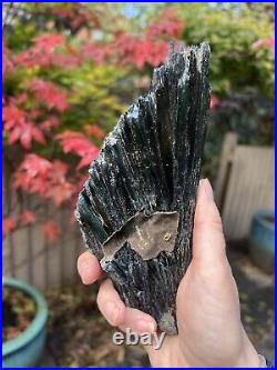 Vivianite Large Crystal Specimen Like Angel Wing 460g