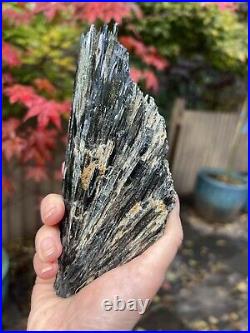 Vivianite Large Crystal Specimen Like Angel Wing 460g