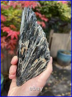 Vivianite Large Crystal Specimen Like Angel Wing 460g